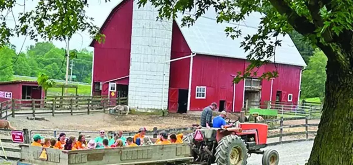 Healing Hearts: A Unique Camp for Grieving Children