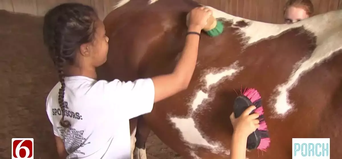 Summer Fun Awaits at the Enchanting Farm Camp