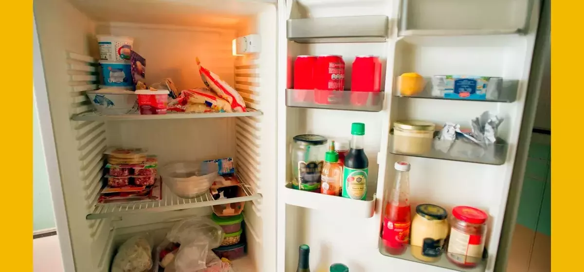 Generational Perspectives: The 'Millennial Flex' of a Garage Fridge Sparks Online Debate