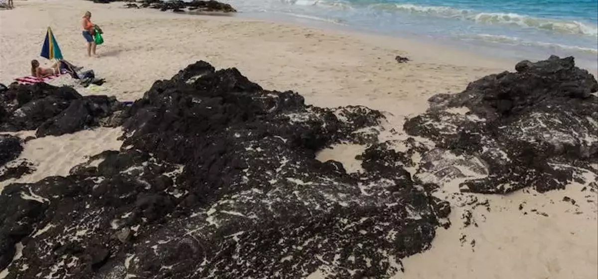 Unveiling America's Pristine Coastal Waters: A Surprising Revelation