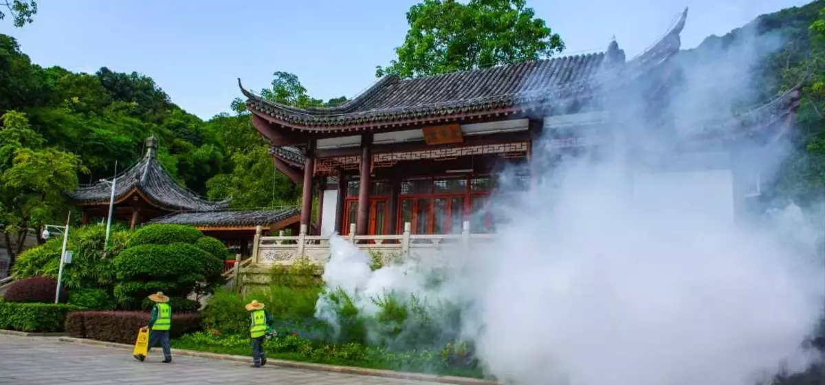 China's Aggressive Stance Against Chikungunya Outbreak: A Detailed Look