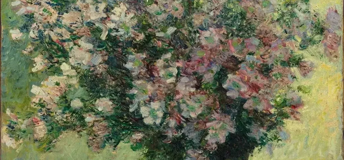 A Journey into Blurred Vision: Discovering Monet's World Through My Own Eyes