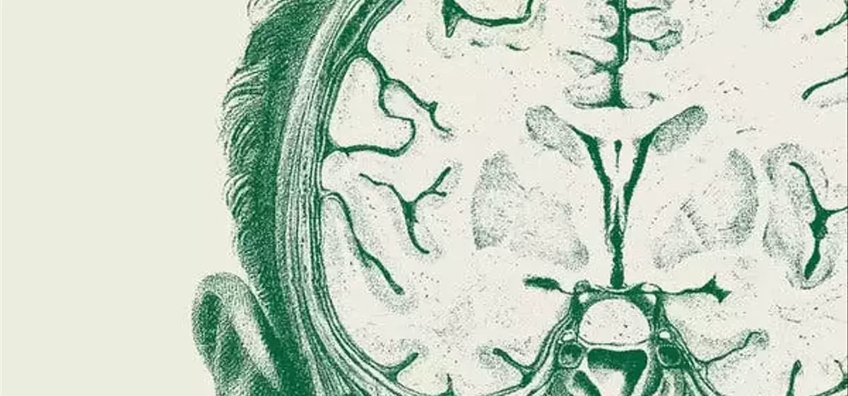 Navigating AI's Impact on Higher Education: A Critical Dialogue