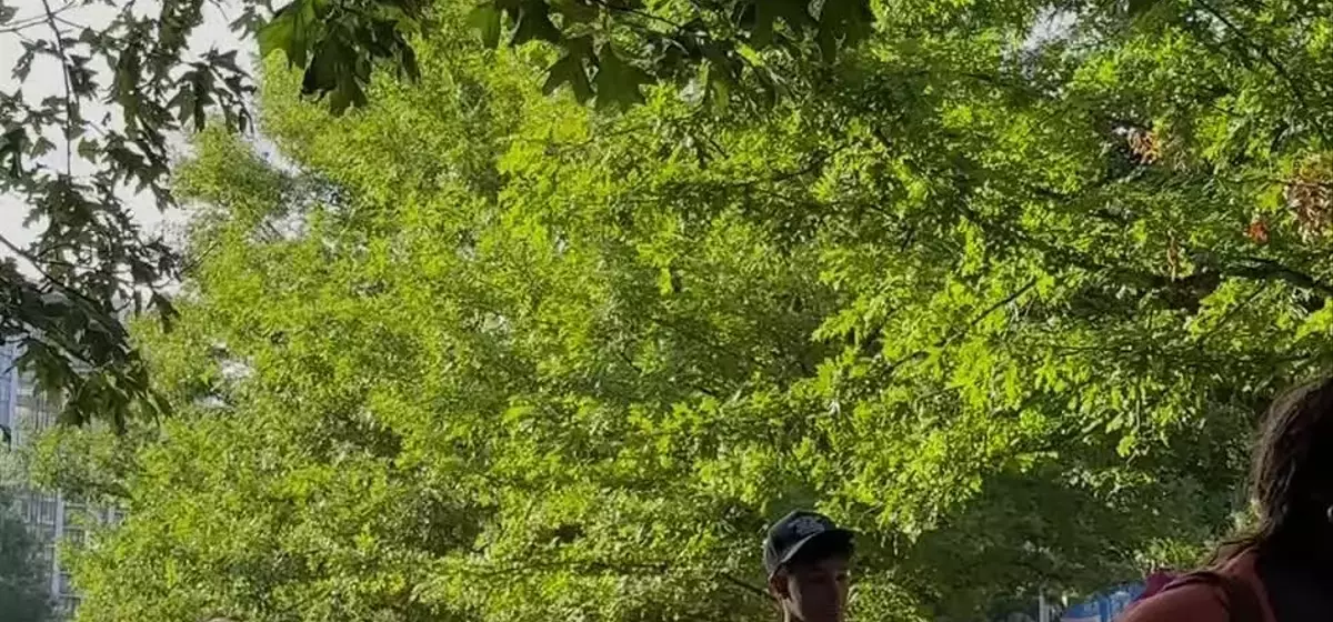 Atlanta's BeltLine: A Transformative Urban Corridor