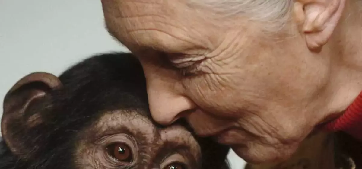 Jane Goodall's Legacy: Unveiling Humanity's Connection to the Animal Kingdom