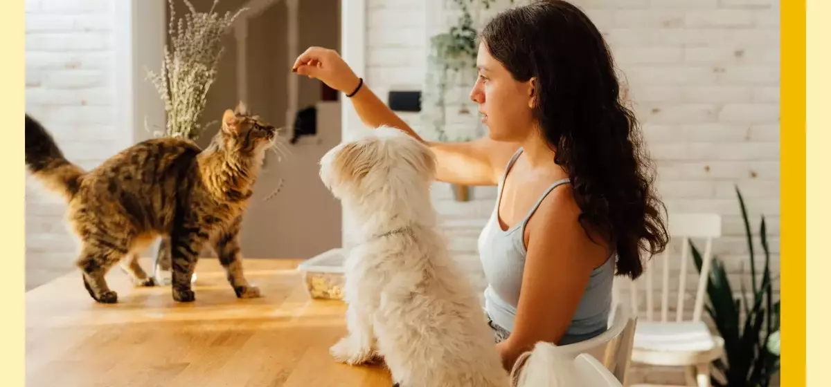 The 'Cat vs. Dog' Parenting Approach: Guiding Children Through Development