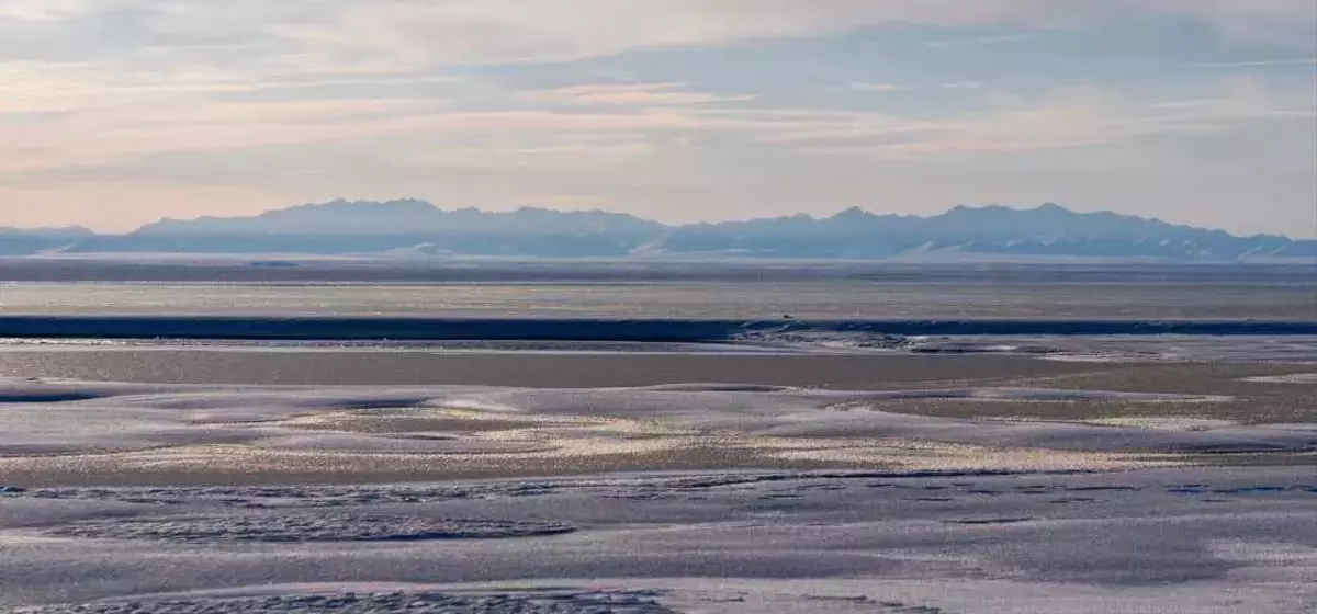 Trump Administration Greenlights Oil and Gas Drilling in Alaska's Arctic Refuge