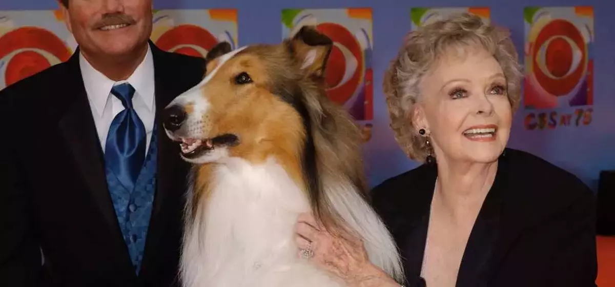 June Lockhart, Beloved Actress of 'Lassie' and 'Lost In Space,' Dies at 100