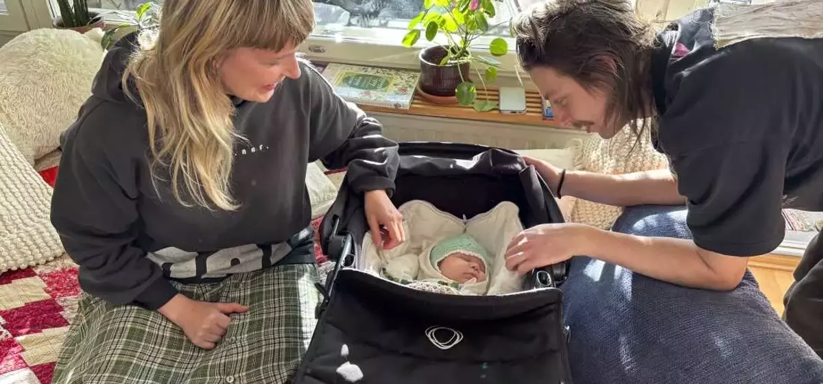 Finland's Declining Birth Rate: A Paradox of Progressive Family Policies