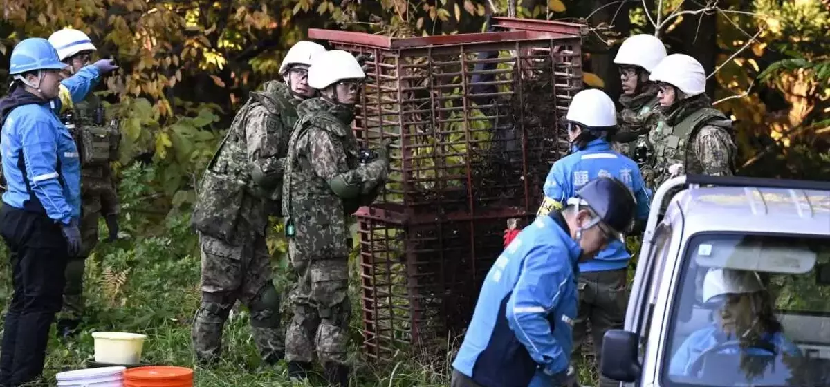 Japan Deploys Military to Combat Escalating Bear Encounters