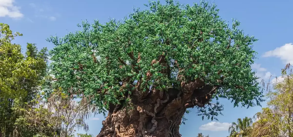 A Magical Family Journey: Discovering Unity at Disney's Animal Kingdom
