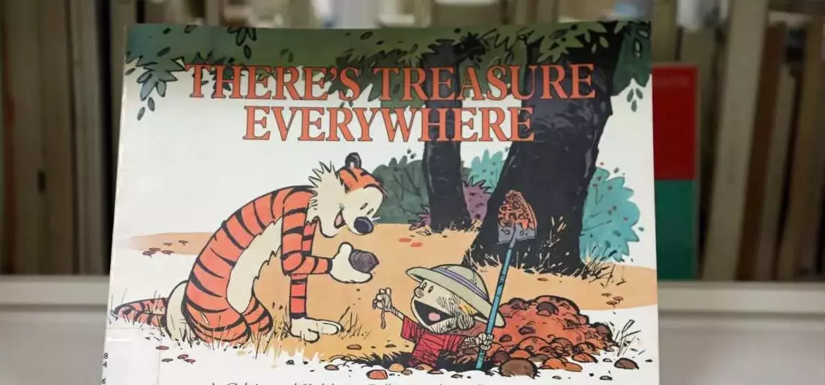 Celebrating Four Decades of Calvin and Hobbes' Enduring Legacy