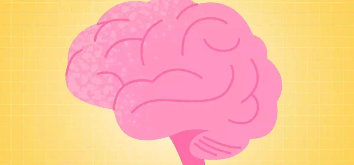 Weight Management and Brain Health: A New Perspective