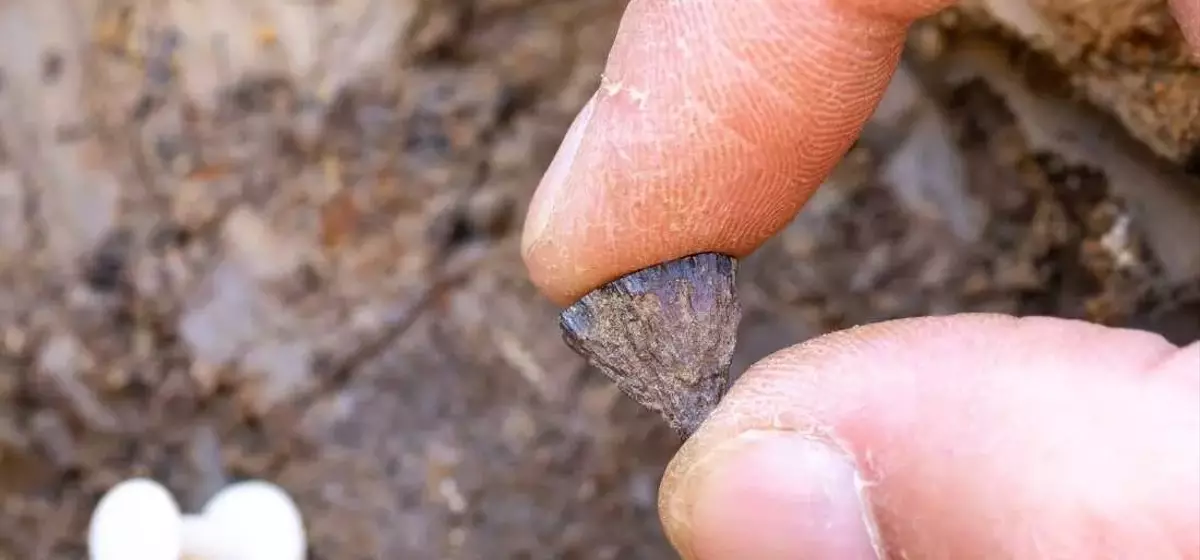 Ancient Fire-Starting: New Evidence Reshapes Human History