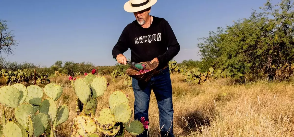 Tucson: A Culinary Journey Through the Sonoran Desert