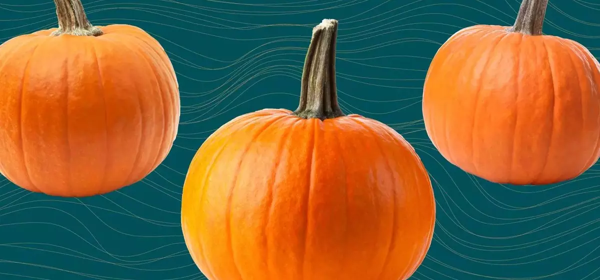 The Comprehensive Guide to Pumpkin: Health Benefits, Nutrition, and Culinary Uses