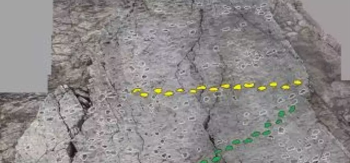 Ancient Dinosaur Tracks Uncovered Near Italian Winter Olympic Sites