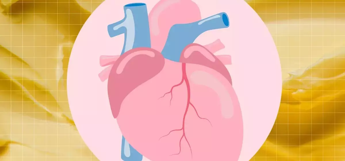 Exploring Butter's Impact on Cardiovascular Health: A Detailed Analysis