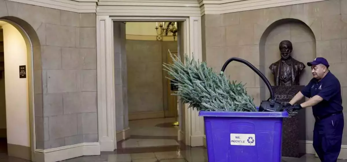 Sustainable Holiday Cleanup: Managing Post-Celebration Waste