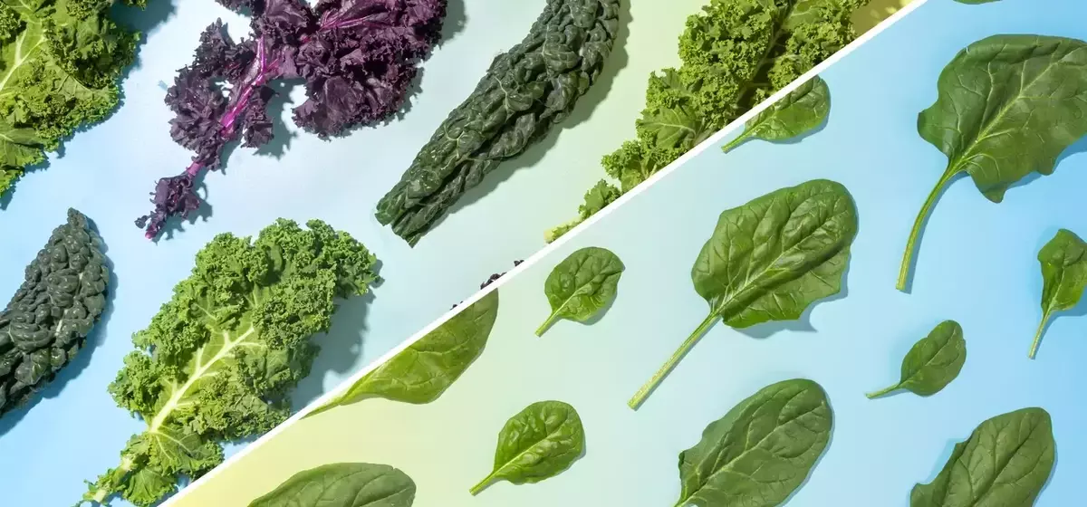 Kale vs. Spinach: Which Green Reigns Supreme?