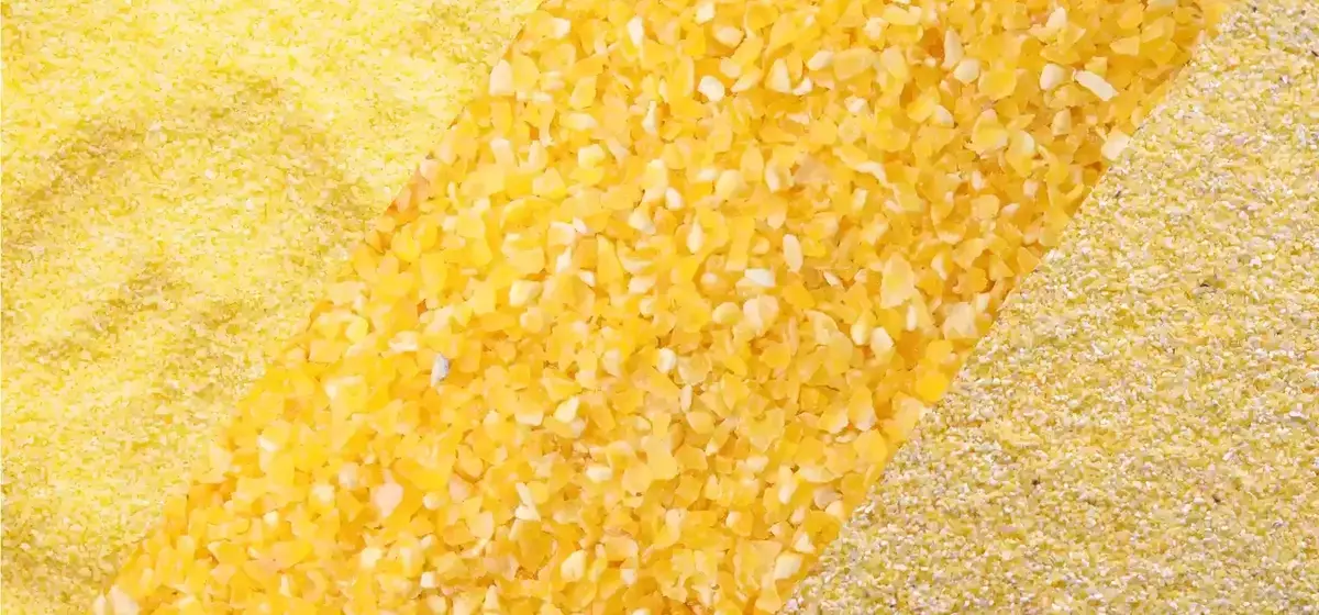Unraveling the Mysteries of Cornmeal, Polenta, and Grits