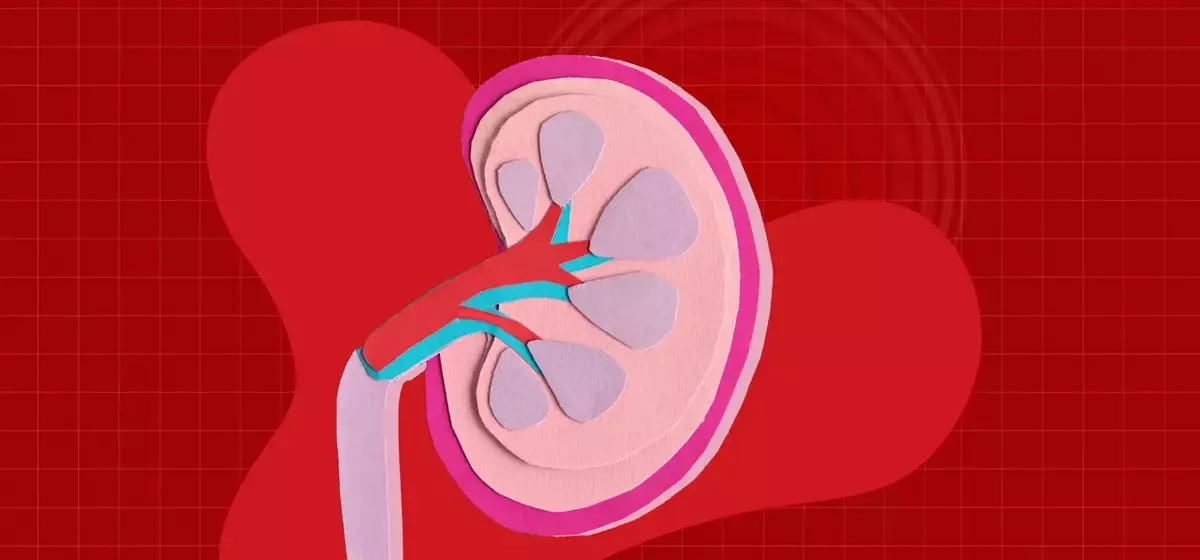 The Hidden Risk of Excessive Electrolyte Drink Consumption for Kidney Health