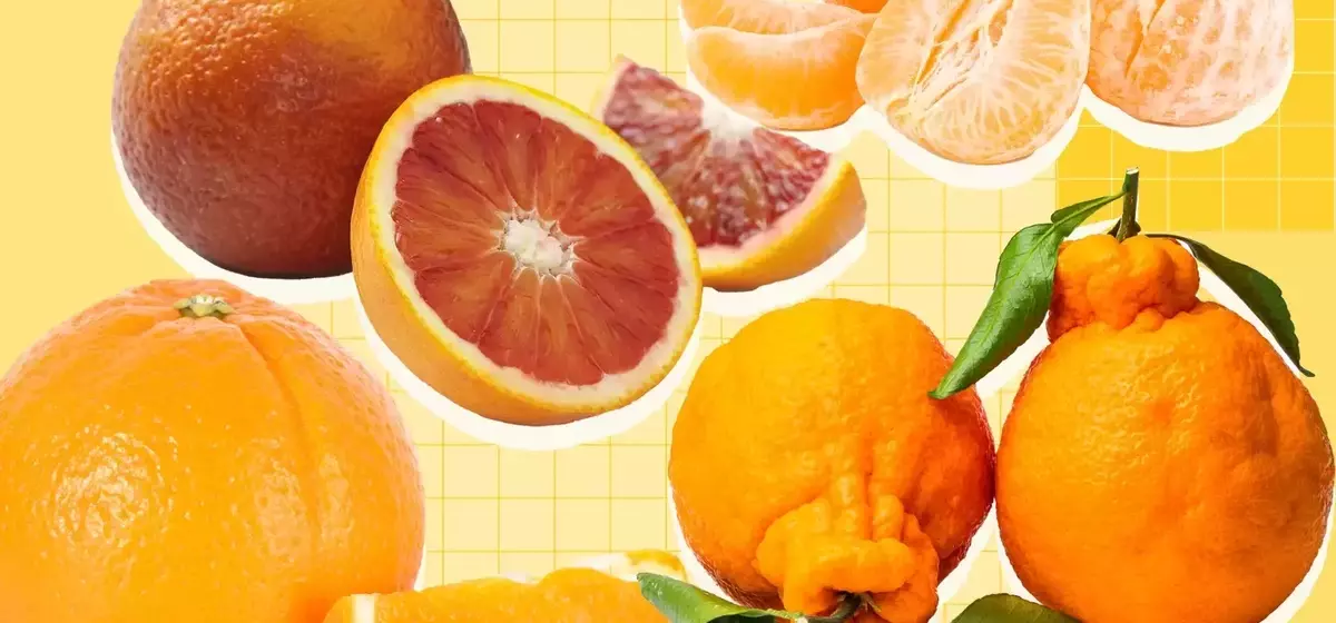 A Comprehensive Guide to Orange Varieties