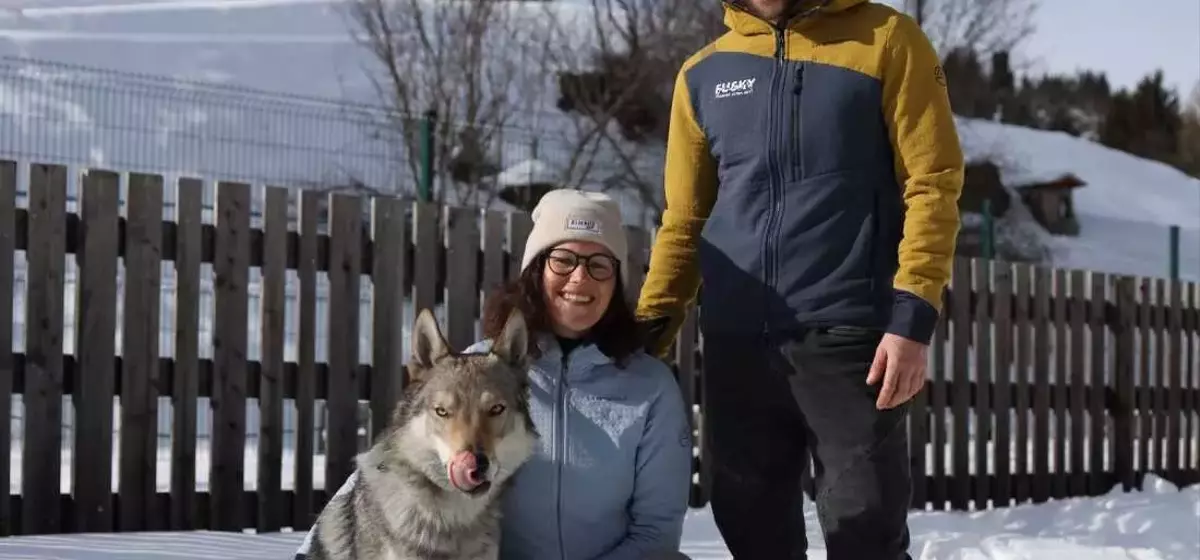 Nazgul, the Wolfdog, Becomes Unlikely Olympic Sensation in Italy