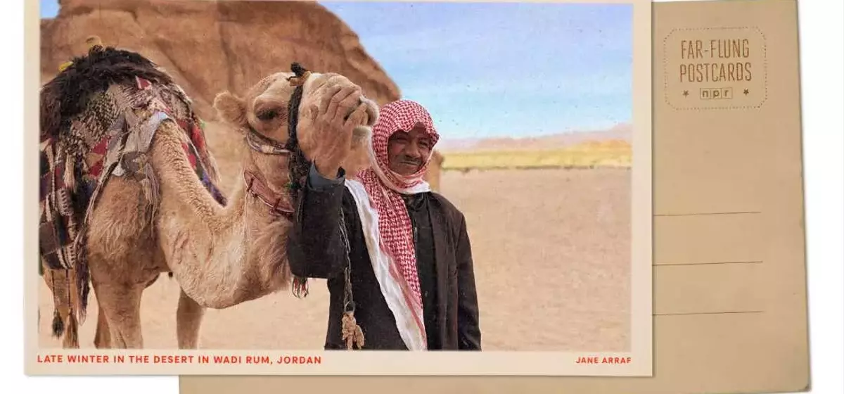 Wadi Rum Blooms: A Desert Transformed by Winter Rains