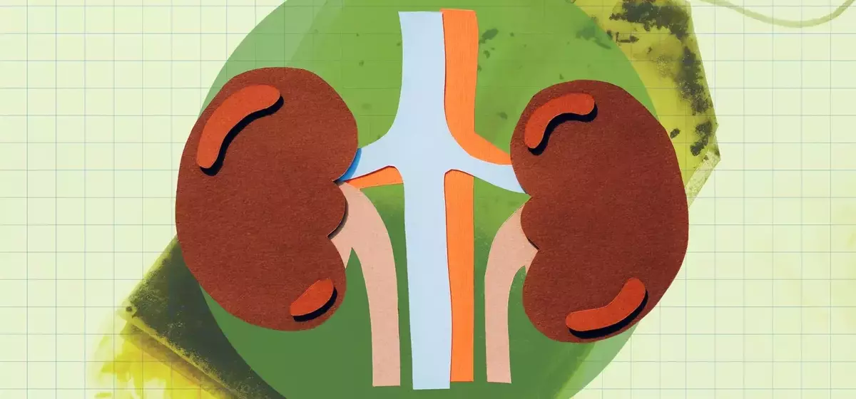 Green Tea: A Potent Ally for Kidney Wellness