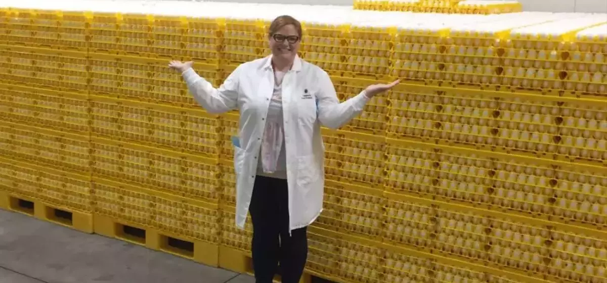 Egg Prices Decline Amidst Avian Flu Recovery and Market Saturation