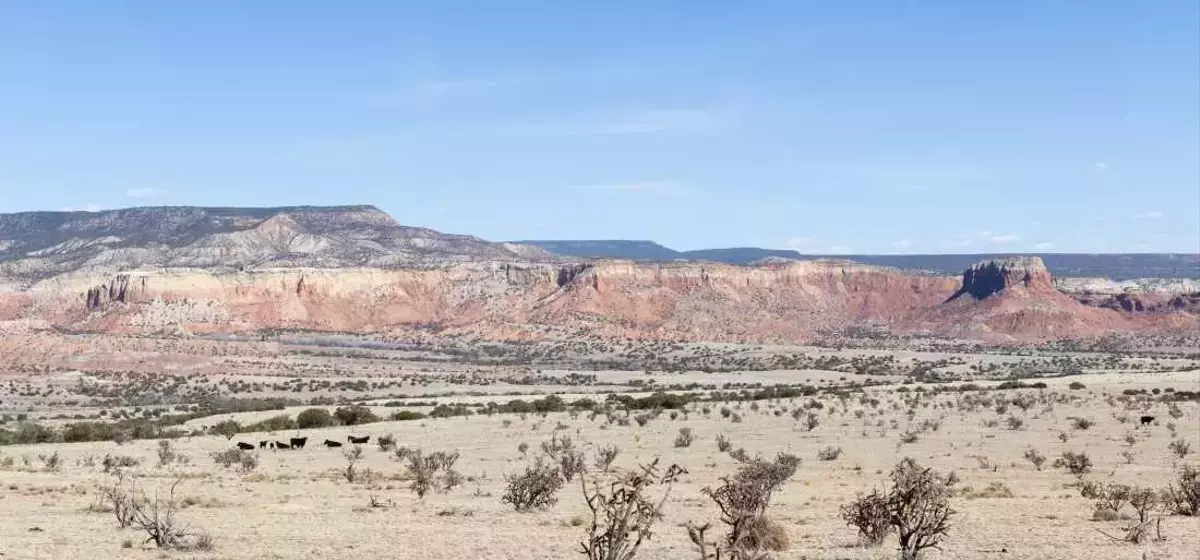 Reconsidering Georgia O'Keeffe's Legacy and Preserving Her Beloved Landscape