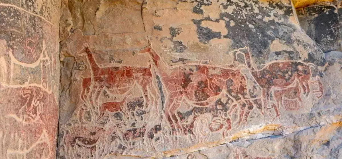 Prehistoric Culinary Sophistication Revealed
