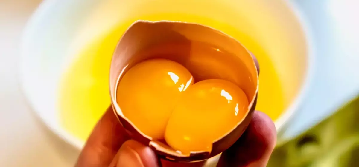 The Enigmatic World of Double-Yolked Eggs