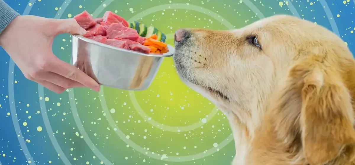 Fresh Dog Food: A Detailed Analysis of Its Benefits and Drawbacks