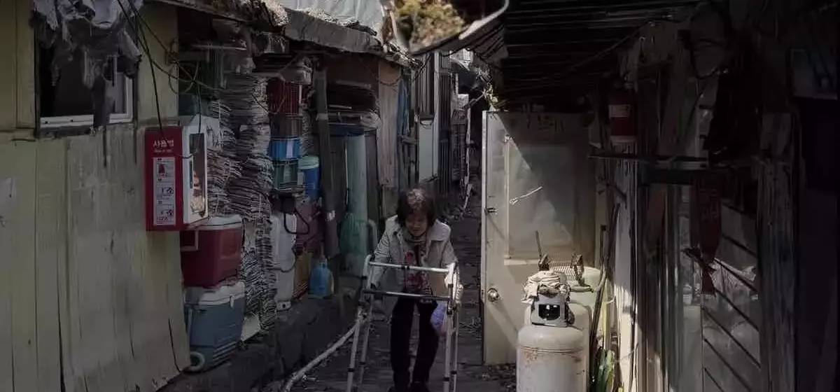 Squatters' Resilience in Seoul's Affluent Gangnam