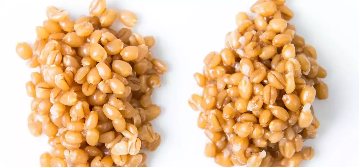 Pressure Cookers and Grains: An Unexpected Outcome