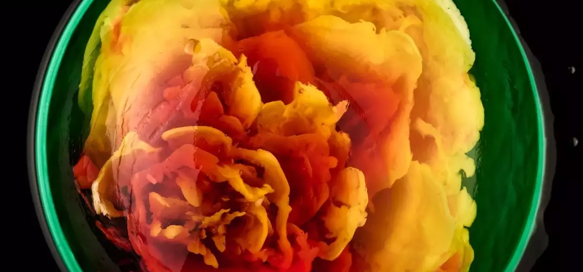 The Art of Jelly: Thu Buser's Edible Masterpieces
