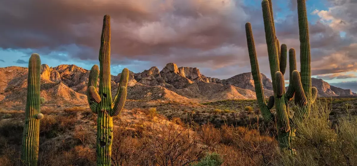 Tucson: The Southwest's Unsung Gem for Travelers