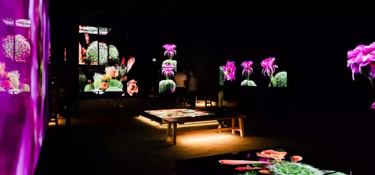 3D Scans Unveil Sonoran Desert's Hidden Life, Informing Conservation Efforts
