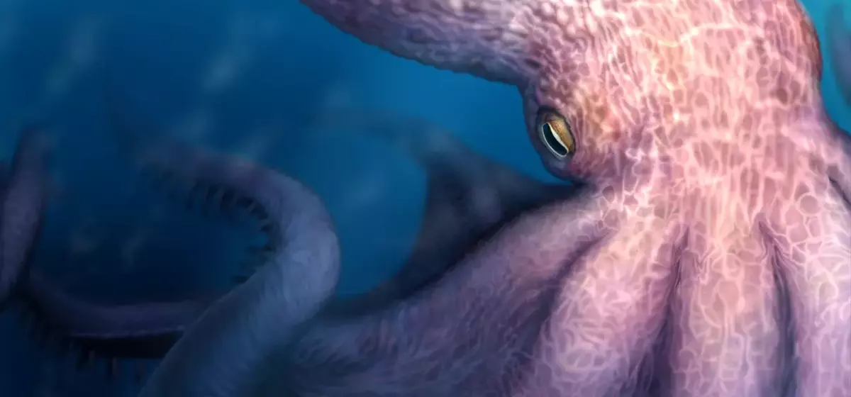 Giant Octopuses Roamed Cretaceous Seas