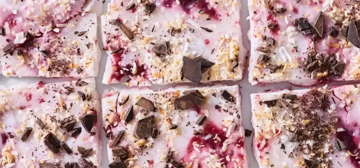 Frozen Raspberry Chocolate Coconut Yogurt Bark