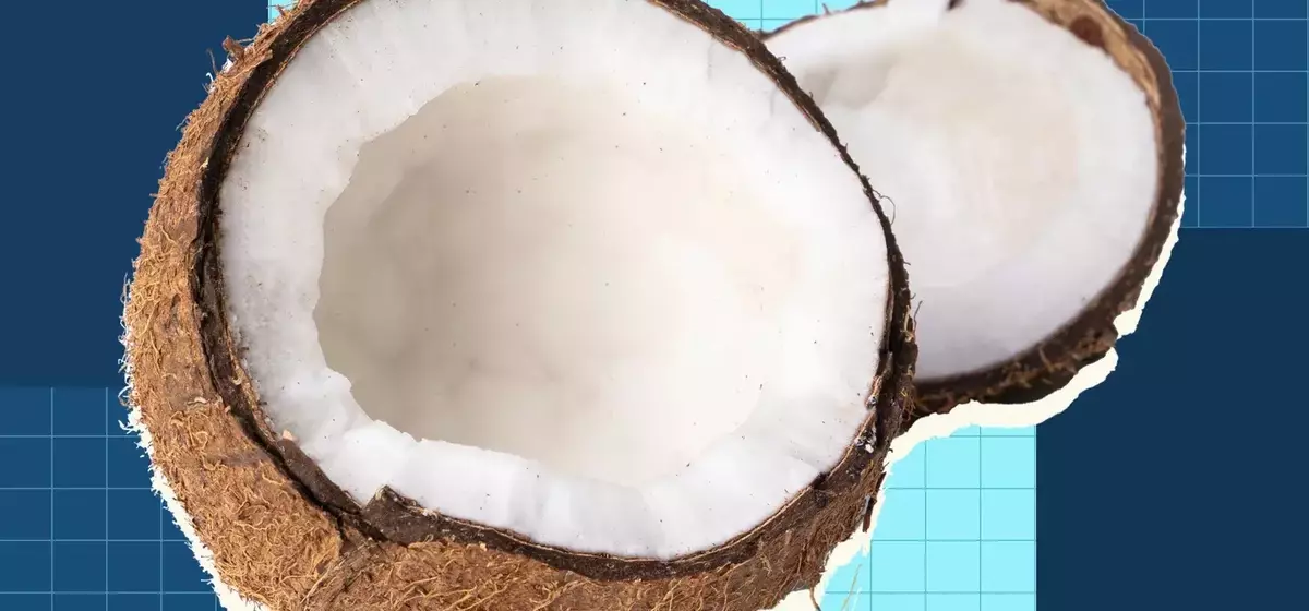The Comprehensive Guide to Coconuts and Their Culinary Applications