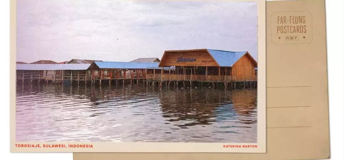 Mangrove Conservation: A Lifeline for Indigenous Fishing Communities in Indonesia