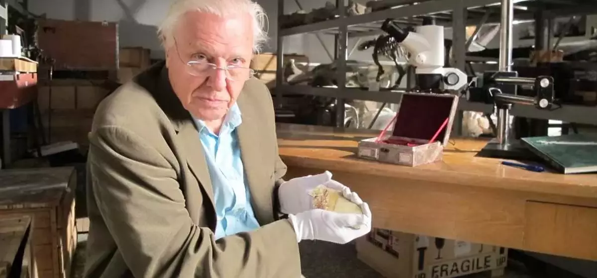 Celebrating Sir David Attenborough's Centennial: A Legacy of Nature and Conservation