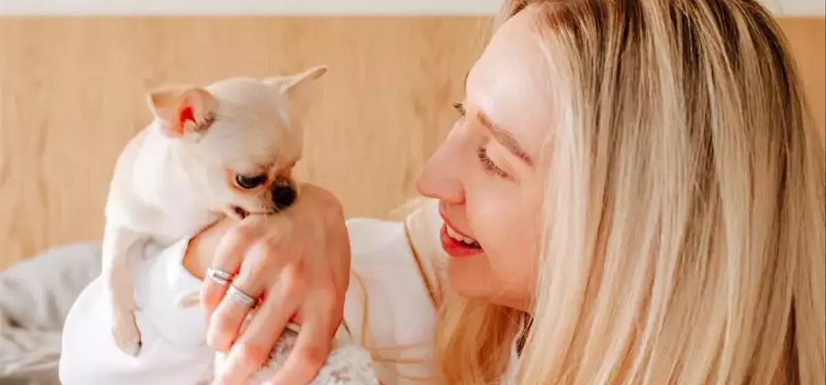 Understanding and Managing Your Dog's Nibbling Behavior