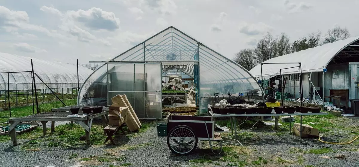 Korean Culinary Masters Establish "First Hand Farm" in Hudson Valley to Cultivate Traditional Ingredients
