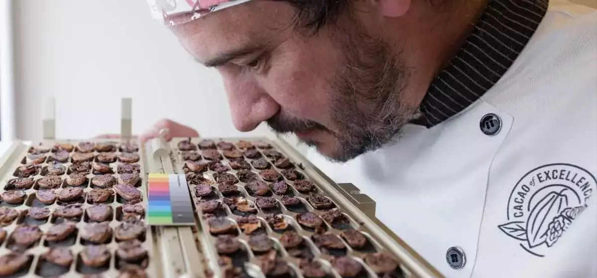 The Science of Chocolate: Inside the Cacao of Excellence Laboratory
