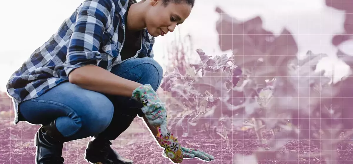 Transforming Your Garden: Innovative Uses for Everyday Food Scraps