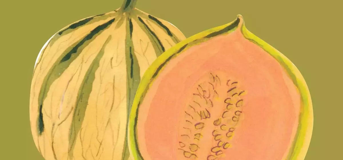 Discovering the Diverse World of Summer Melons